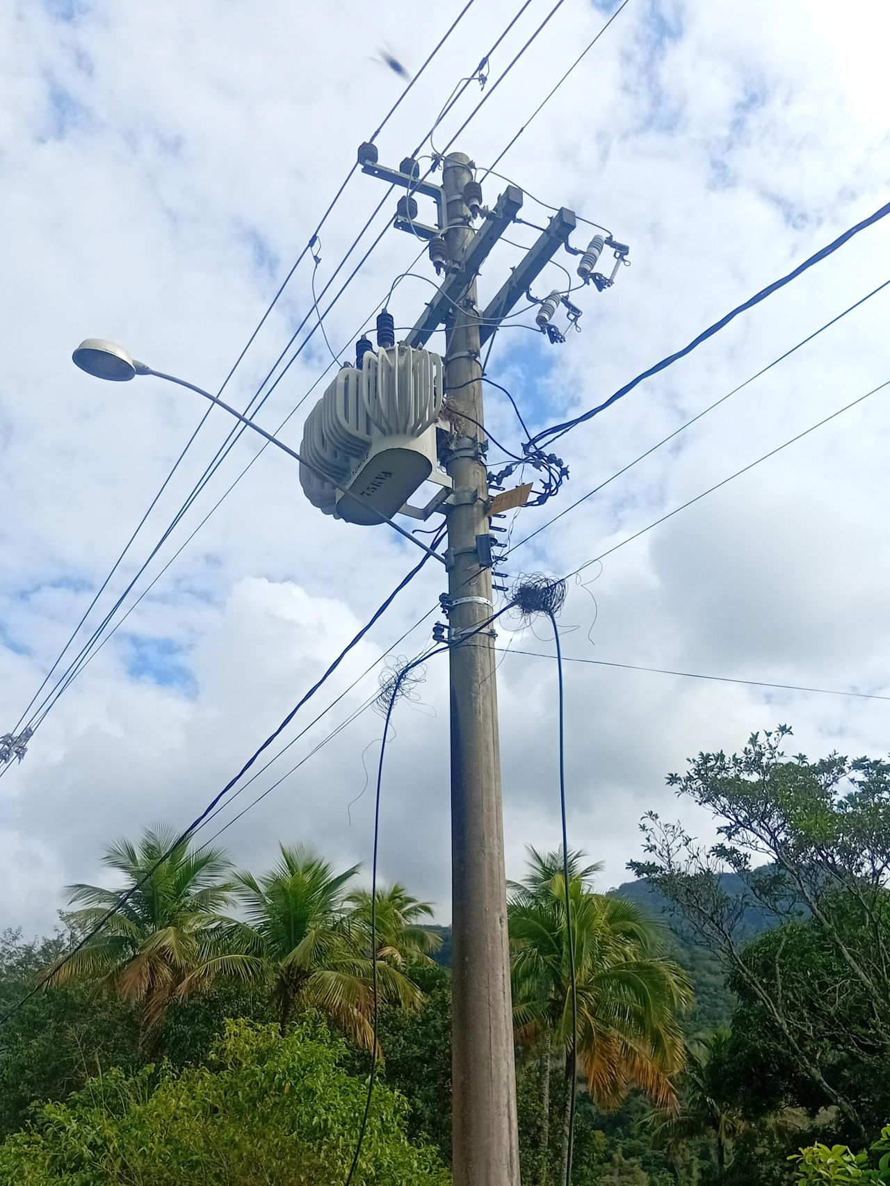 Imagem de campo original
