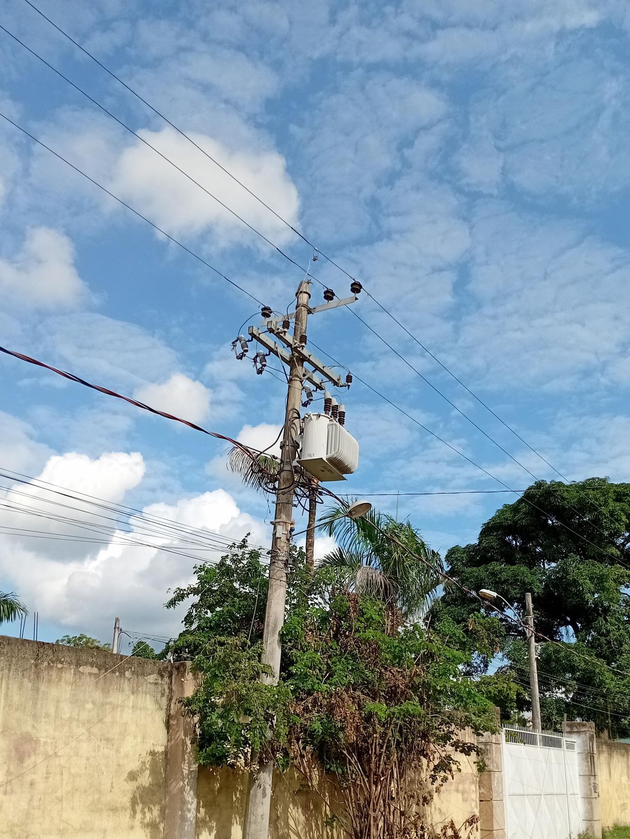 Imagem de campo original