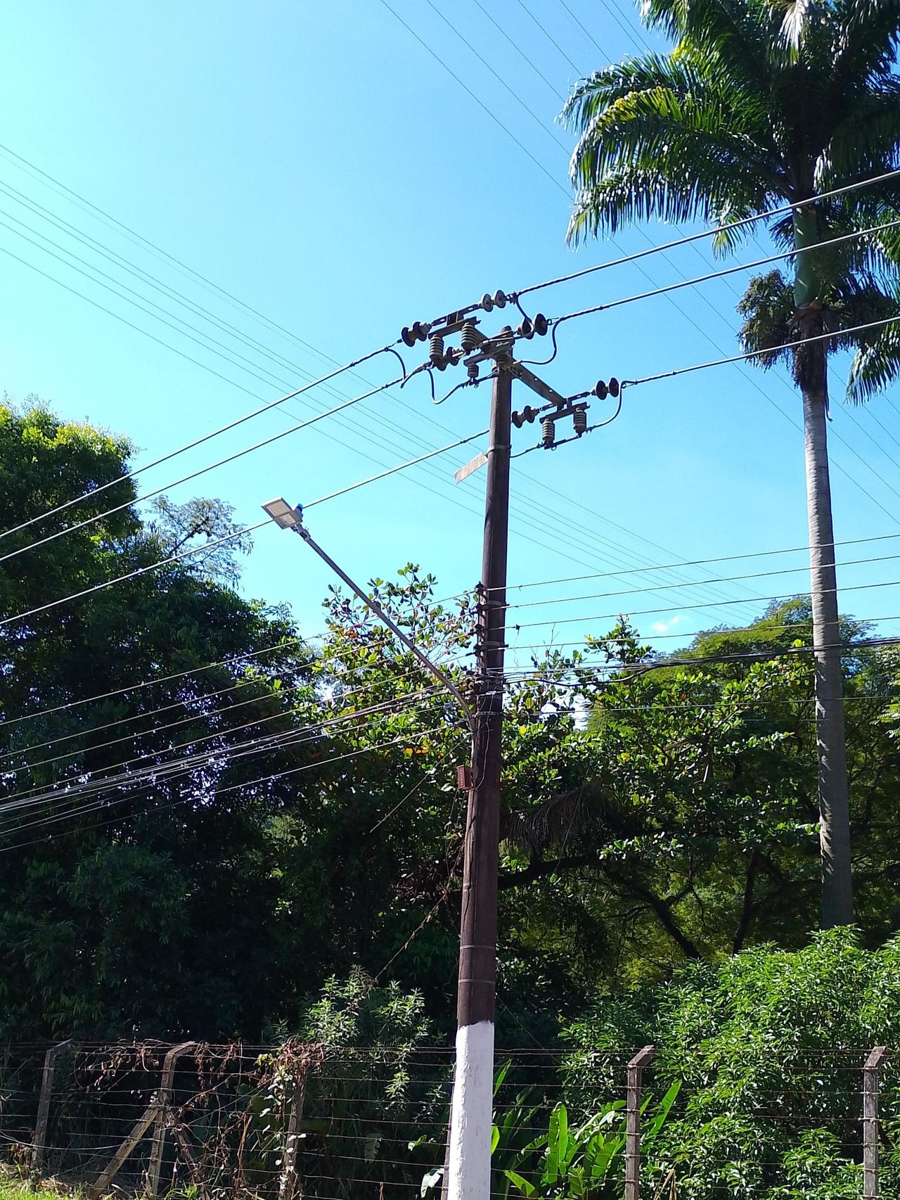 Imagem de campo original