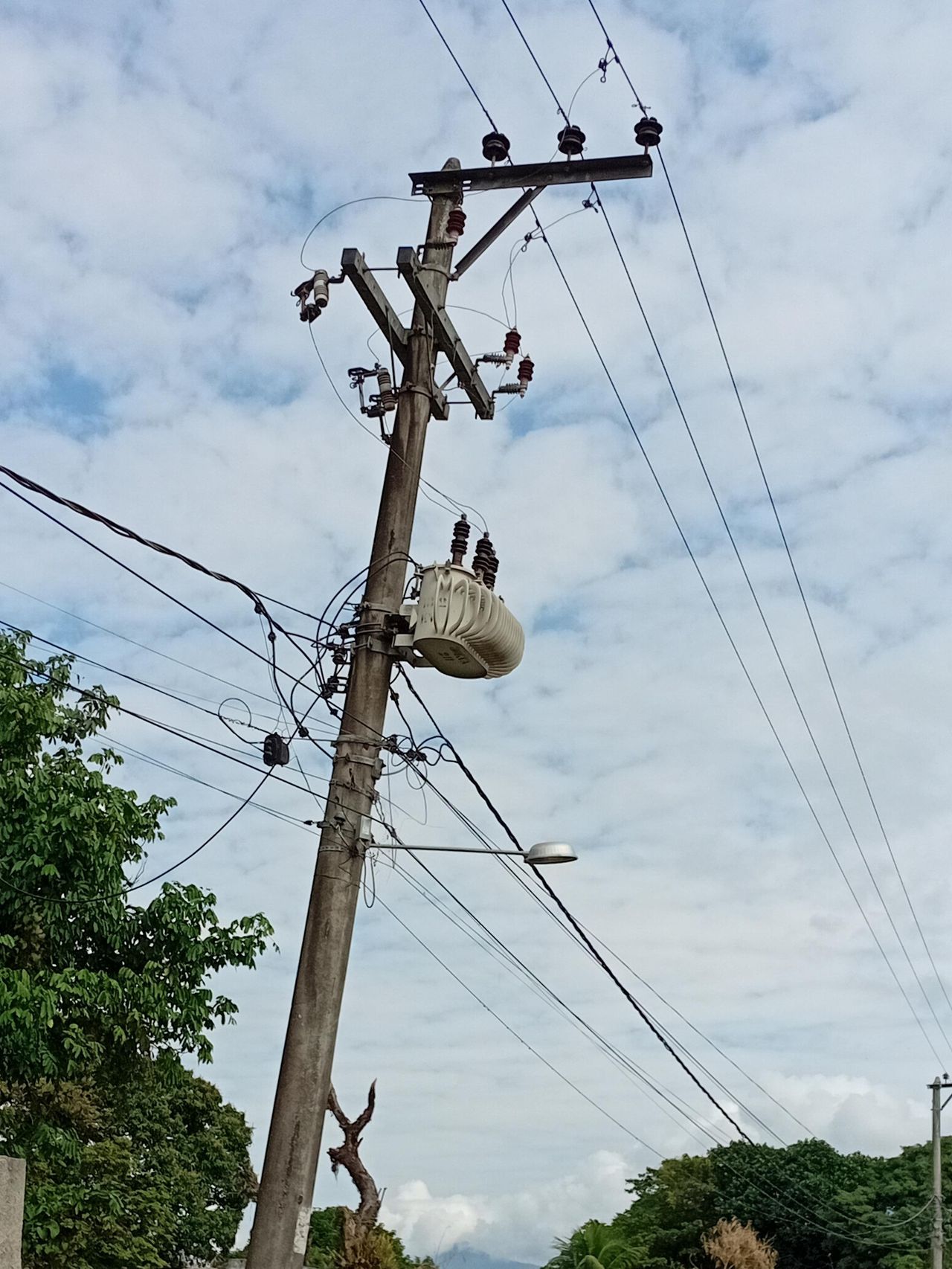 Imagem de campo original